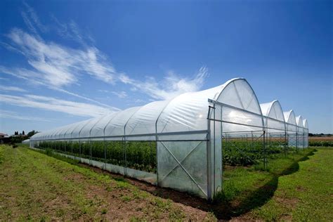 Large Multi Span Plastic Greenhouse - Buy Multi Span Greenhouse,Plastic Greenhouse,Large ...