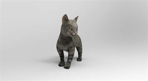 3D cute cat rigged model - TurboSquid 1160432