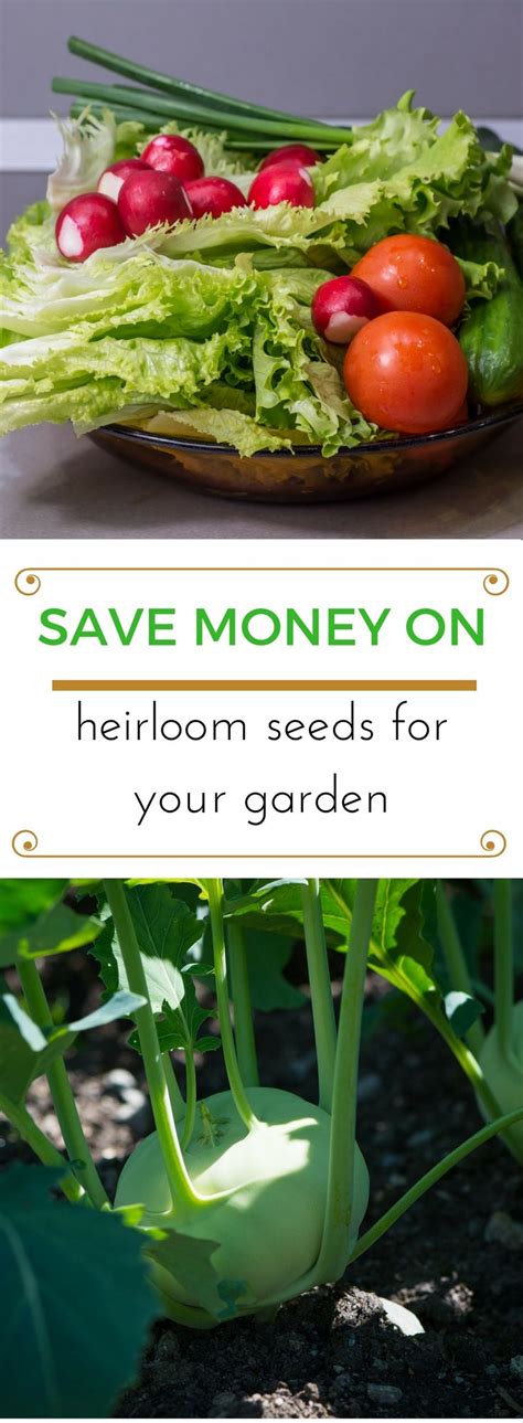 Want to save money on your garden this year? This is an awesome way to save MAJOR money on ...