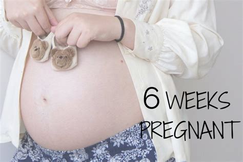 6 Weeks Pregnant: Understanding Early Development and Symptoms – Babies ...