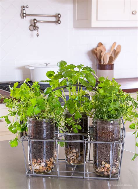 Indoor Herb Garden - DIY Ideas | Apartment Therapy