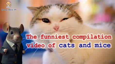 The funniest compilation video of cats and mice | #Part4 - YouTube