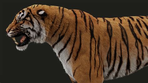 Buy Bengal Tiger (FUR) (ANIMATED) 3D Models Online | Massimo Righi