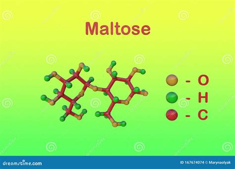 Molecular Structure of Maltose or Malt Sugar, a Disaccharide Formed from Two Units of Glucose ...