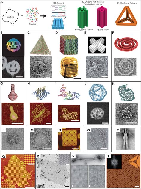 The Beauty and Utility of DNA Origami: Chem