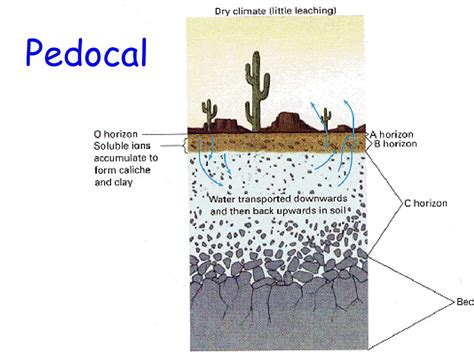 PPT - Soils & Soil Formation-The Results of Weathering PowerPoint Presentation - ID:1881616