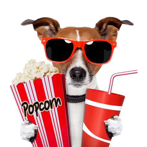 Free Movie Night Cliparts, Download Free Movie Night Cliparts png images, Free ClipArts on ...