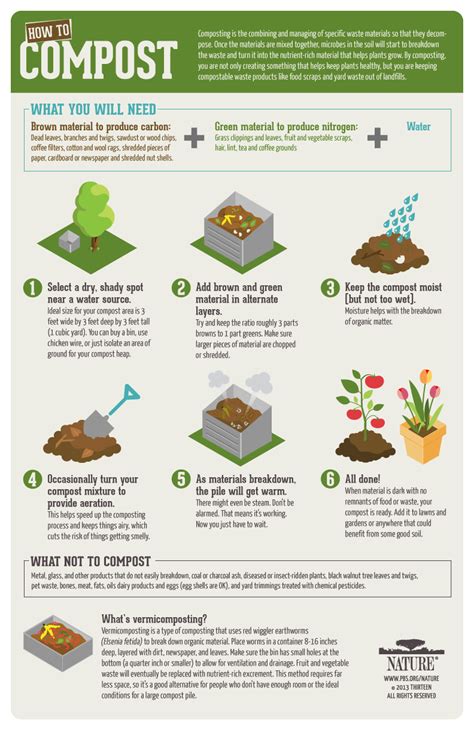 Composting Infographic – Harina Somasundaram – BIOL2103H Spring 2018