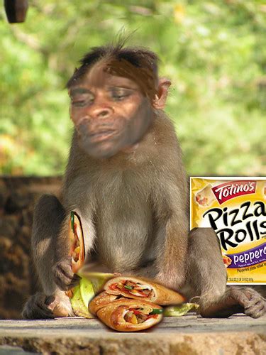 monkey eating pizza rolls2 | MONKEYNUMBER1 | Flickr