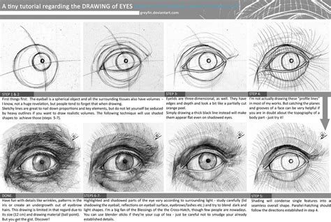 Drawing eyes - values and shading by greyfin on DeviantArt