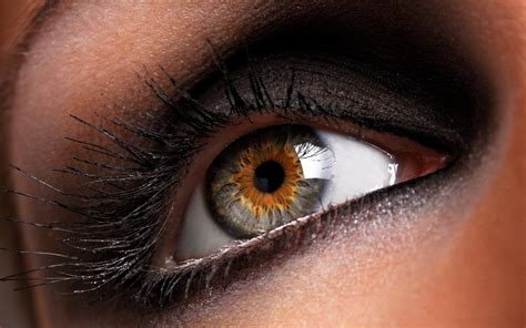 Close-up brown eyes macro eye wallpaper | 2560x1600 | 338233 | WallpaperUP