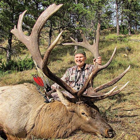 World Record Bulls: The Top 5 Typical Archery Elk