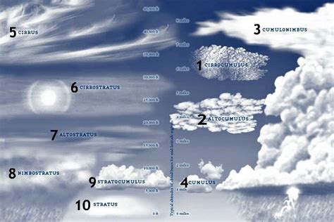 Predicting the Weather | Survival Life | Cloud type, Clouds, Science nature