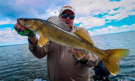 Summer Walleye Strategies | Northland Fishing Tackle