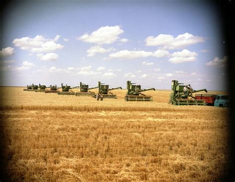 Harvesting Wheat in Deaf Smith County, Texas