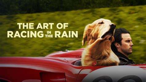 Titta på The Art of Racing in the Rain | Disney+