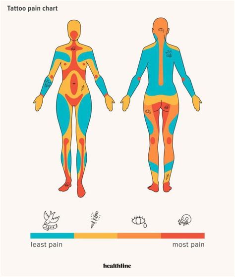 Tattoo pain chart : r/coolguides