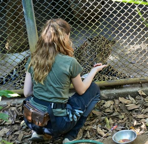 Wildlife Internship | Volunteer in Costa Rica 2024