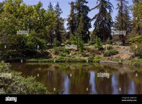 UC Davis Arboretum Stock Photo - Alamy