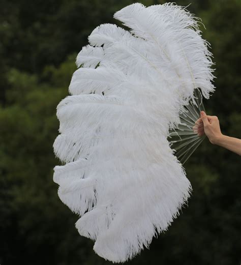 2019 Single Layer White Ostrich Feather Fan Chinese Large Feather Fan Burlesque Friend 25 Inch ...