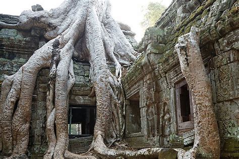 Abandoned Temple in Cambodia - Travel - Photo.net