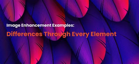 Image Enhancement Examples: Differences Through Every Element ...