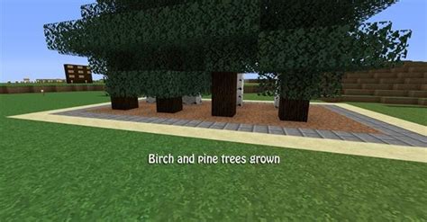 Novament: Minecraft Tree Farm Roof