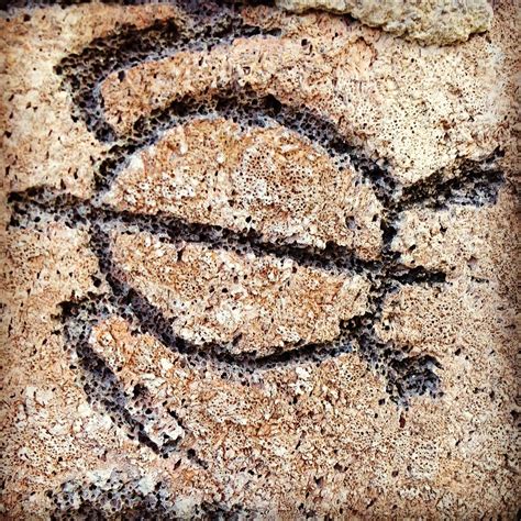 Hawaiian Turtle Petroglyph (Honu Ki'i Pohaku) | Instagram | Cave Art Gal | Flickr