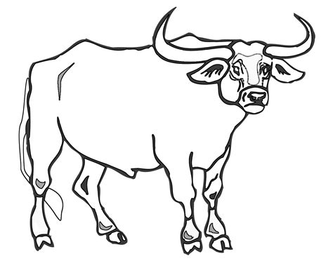 Ox Coloring Page at GetColorings.com | Free printable colorings pages to print and color