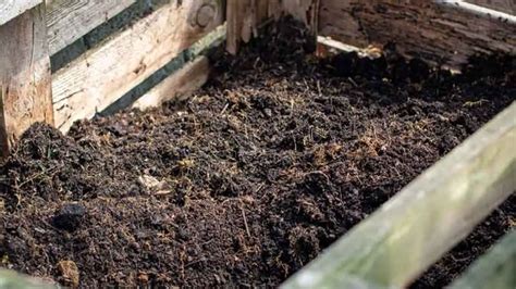 The Ultimate Soil Booster: Is Compost Fertilizer Can Improve Your Crop ...