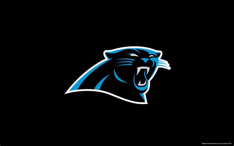 🔥 [50+] Carolina Panthers Wallpapers 1920x1080 | WallpaperSafari