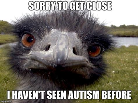 Emu face Memes - Imgflip