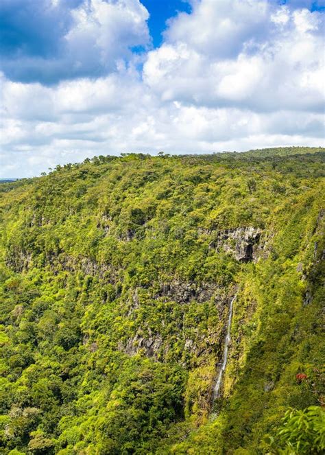 Black River Gorges National Park Stock Photo - Image of famous, riviere: 105640314