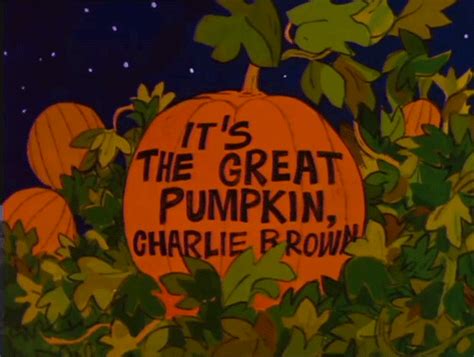 the great pumpkin charlie brown gif | WiffleGif