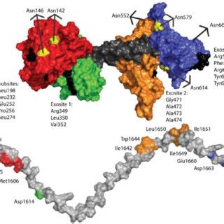 (A) Domain organization of ADAMTS13. (B) Crystal structure of the DTCS... | Download Scientific ...