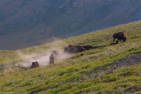 The Many Sights of Pincher Creek, Alberta