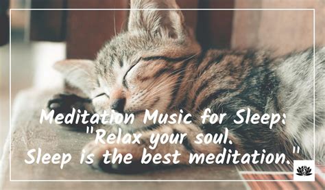 Meditation Music for Sleep - Meditation Soul Music