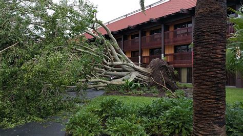 Hurricane Irma damage at Disney's Polynesian Resort - Photo 1 of 7