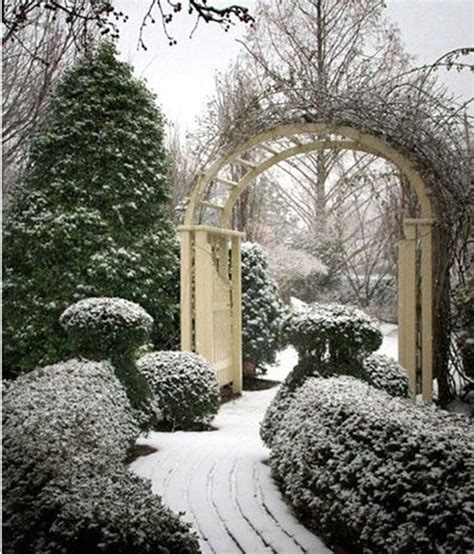 Winter Garden Design Ideas - Image to u