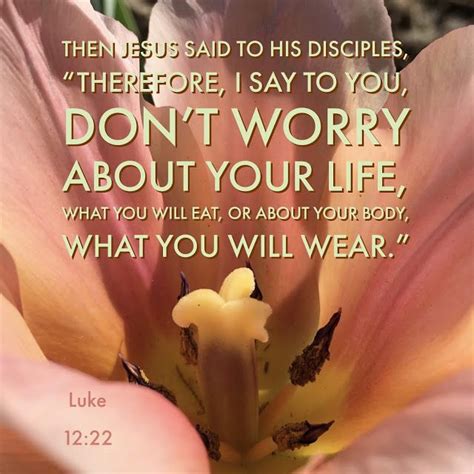 Living for God: Do Not Worry About Your Life | Knowing god, Jesus quotes, Childlike faith