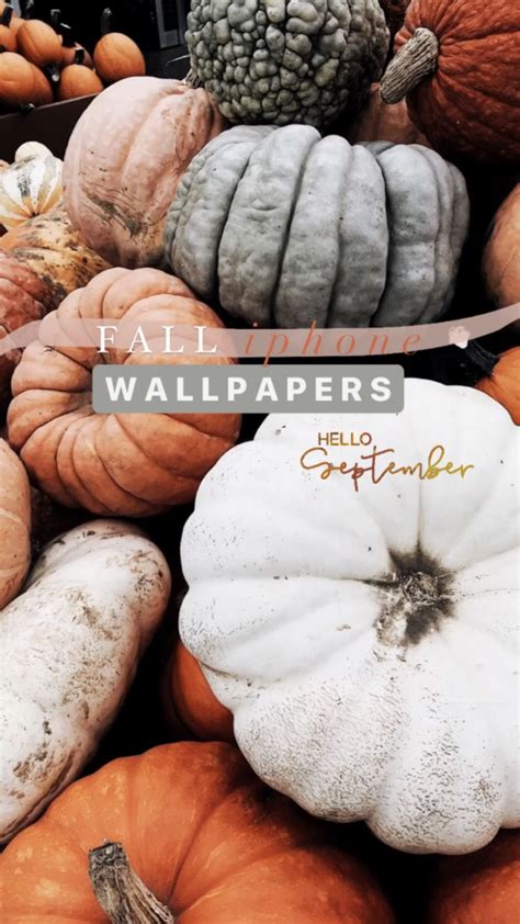 21 Aesthetic Fall Iphone Wallpapers You Need for Spooky Season ...