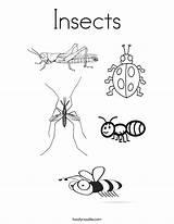 Insects Coloring Page  Twisty Noodle sketch template