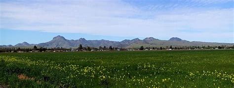 Sutter County, California | Wiki | Everipedia