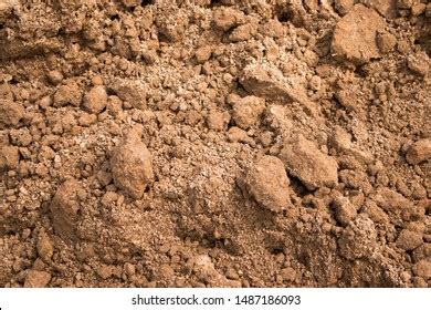 Loam Soil Images, Stock Photos & Vectors | Shutterstock