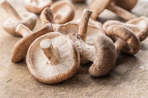 Shiitake Mushrooms: Shiitake Mushroom Benefits