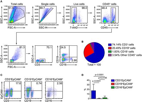 Isolation Of Mouse CD45- Cells (Negative Selection) , 48% OFF