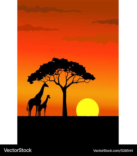 African sunset Royalty Free Vector Image - VectorStock