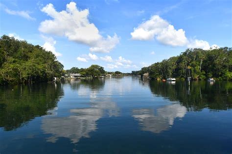 Homosassa River project leader still awaiting promised funds | Local News | chronicleonline.com