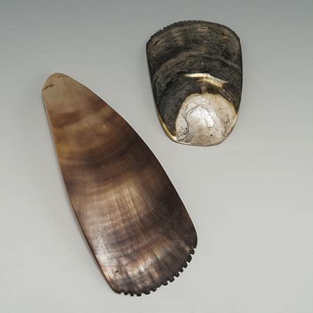 Oceanic Art - Shell Scrapers, Huon Gulf, Papua New Guinea