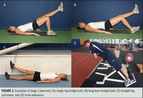 Hamstring Tendinopathy: How to Rehabilitate (Part 3) – Ideastep ...